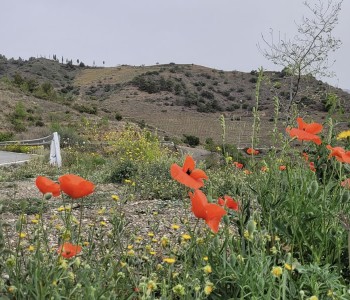 20.000 Bochten Spanje Motor Tours (1)